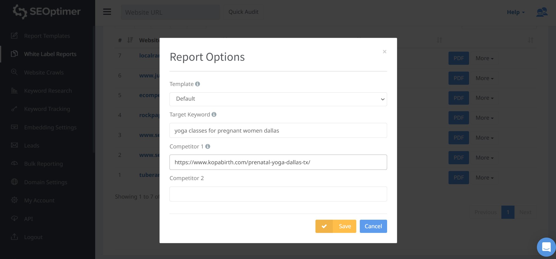 seo audit report competitors